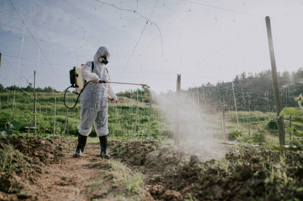 Insect Control in Heber, UT